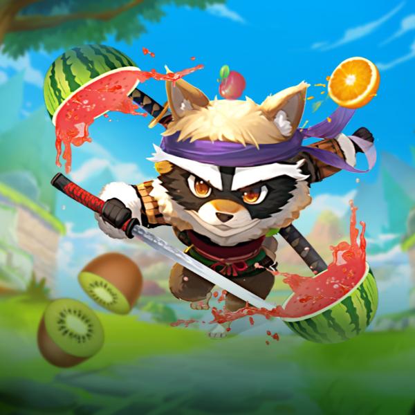 Ninja Crash